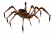 Păianjen Otrăv Zodiac.png