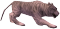 Tigru alb (Level 8).png