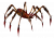 Păianjen Roșu Otr Zodiac.png