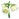Floare Clopoțel.png